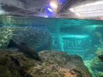 新江ノ島水族館