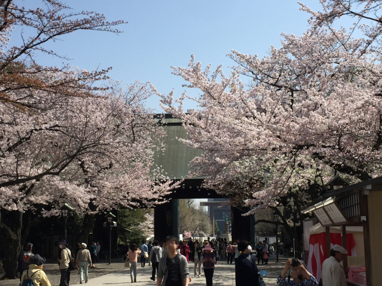 桜の時期の靖国神社