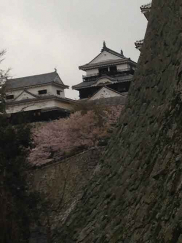 石垣と松山城