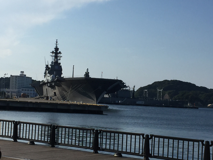 公園から多くの海軍の軍船が見られる