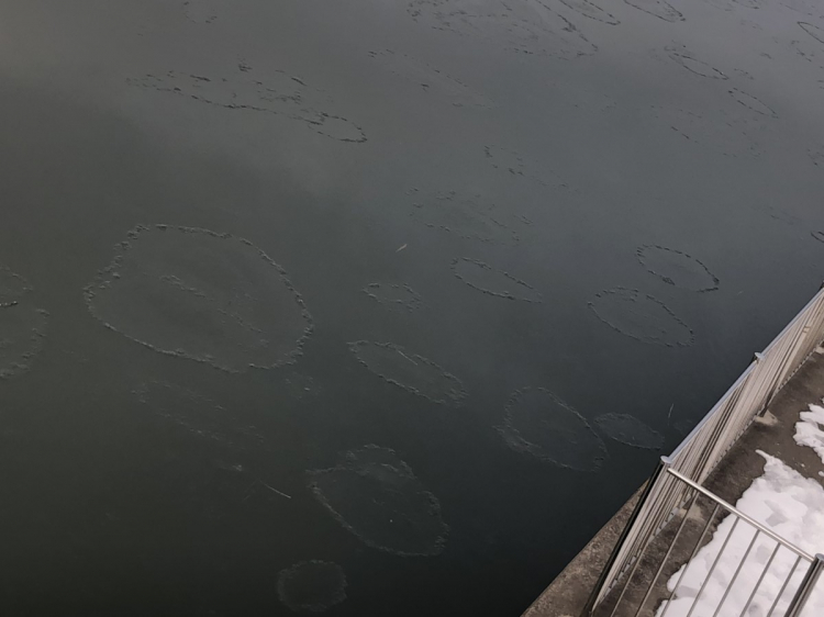釧路川の氷